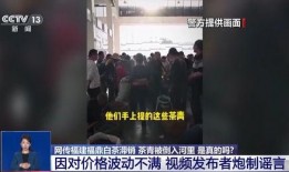 攀高峰被爆料视频造假,揭秘真相背后的真相